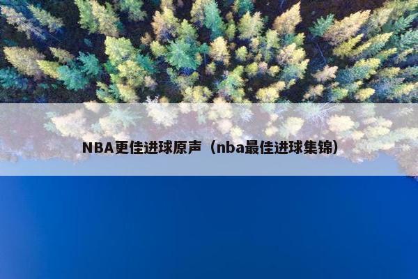NBA更佳进球原声（nba最佳进球集锦）