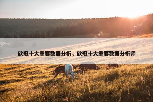 欧冠十大重要数据分析，欧冠十大重要数据分析师
