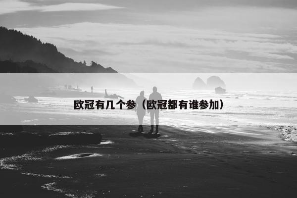 欧冠有几个参（欧冠都有谁参加）