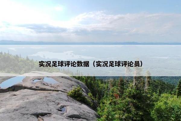 实况足球评论数据（实况足球评论员）