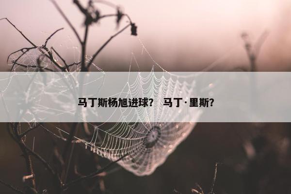 马丁斯杨旭进球？ 马丁·里斯？