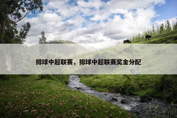 排球中超联赛，排球中超联赛奖金分配