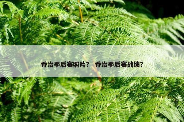 乔治季后赛照片？ 乔治季后赛战绩？