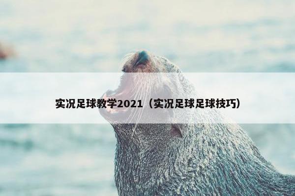 实况足球教学2021（实况足球足球技巧）
