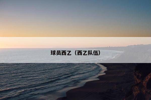 球员西乙（西乙队伍）