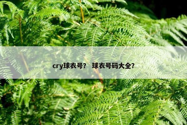 cry球衣号？ 球衣号码大全？