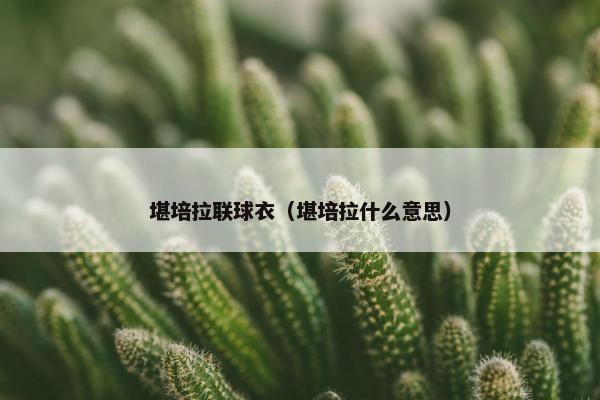堪培拉联球衣（堪培拉什么意思）