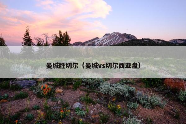 曼城胜切尔（曼城vs切尔西亚盘）