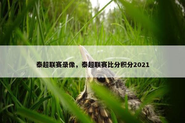 泰超联赛录像，泰超联赛比分积分2021