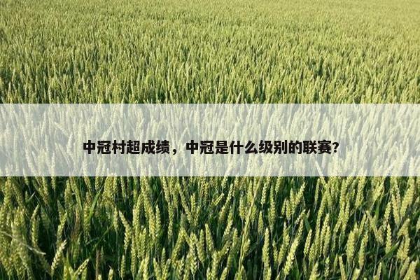中冠村超成绩，中冠是什么级别的联赛?
