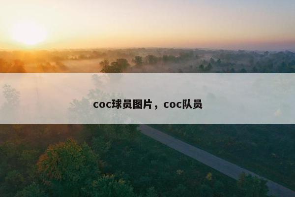 coc球员图片，coc队员