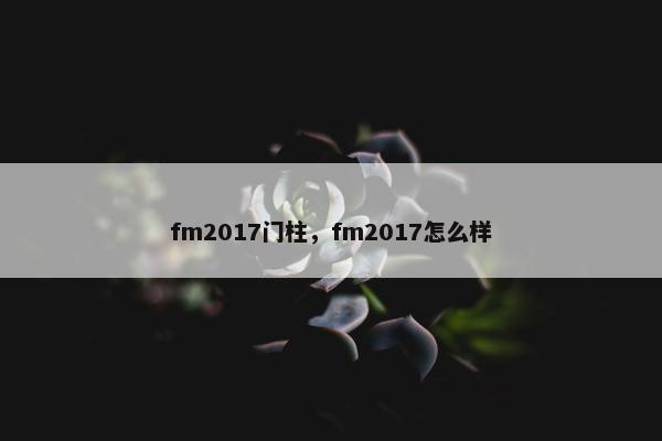fm2017门柱，fm2017怎么样
