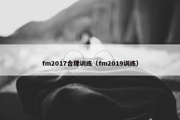 fm2017合理训练（fm2019训练）