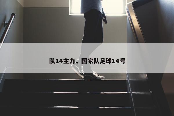 队14主力，国家队足球14号