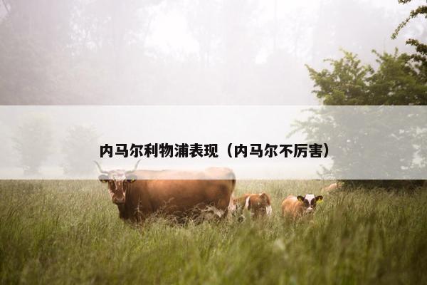 内马尔利物浦表现（内马尔不厉害）