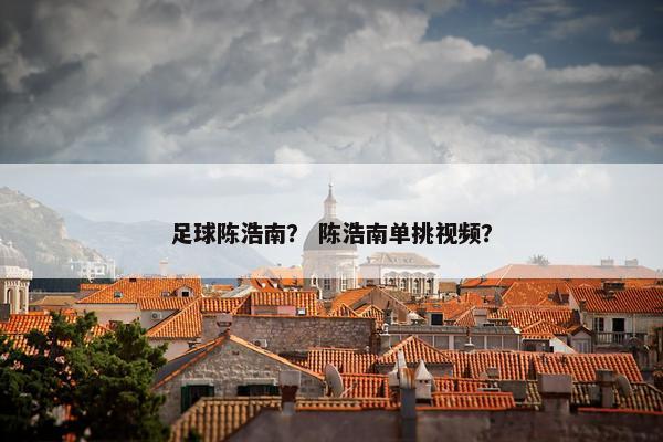 足球陈浩南？ 陈浩南单挑视频？