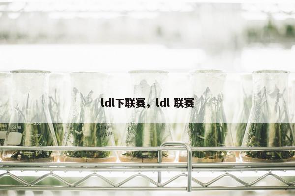 ldl下联赛，ldl 联赛