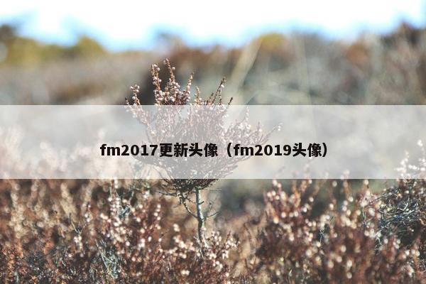 fm2017更新头像（fm2019头像）