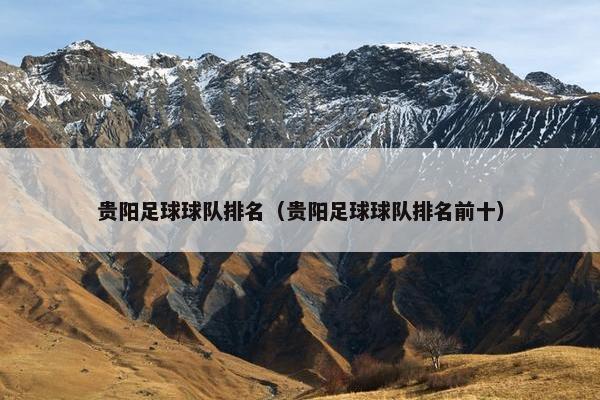 贵阳足球球队排名（贵阳足球球队排名前十）