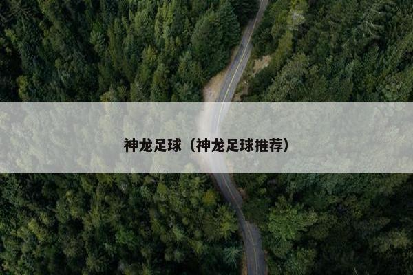 神龙足球（神龙足球推荐）