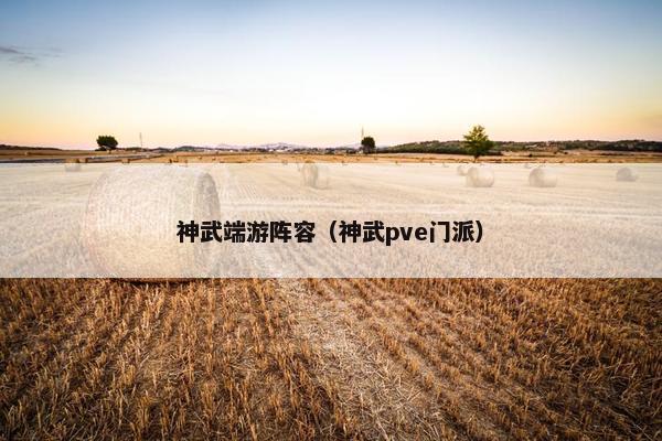 神武端游阵容（神武pve门派）