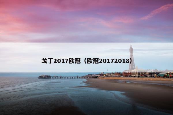 戈丁2017欧冠（欧冠20172018）