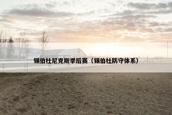 锡伯杜尼克斯季后赛（锡伯杜防守体系）