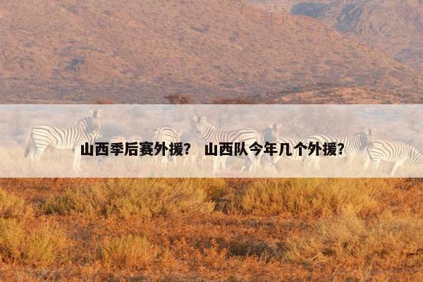 山西季后赛外援？ 山西队今年几个外援？