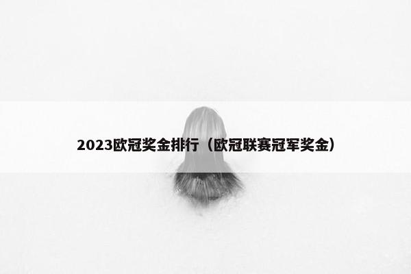 2023欧冠奖金排行（欧冠联赛冠军奖金）