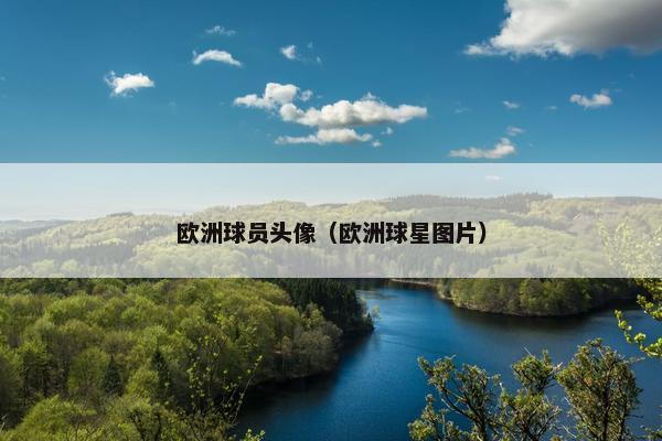 欧洲球员头像（欧洲球星图片）