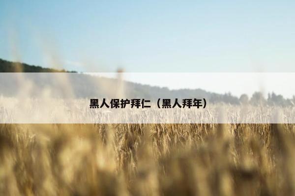 黑人保护拜仁（黑人拜年）