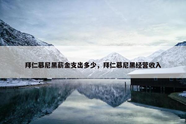 拜仁慕尼黑薪金支出多少，拜仁慕尼黑经营收入