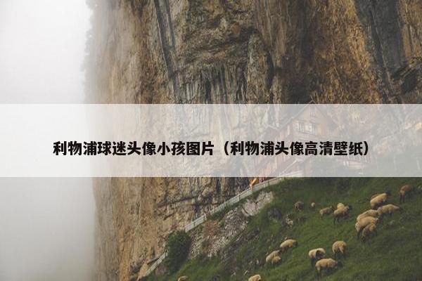 利物浦球迷头像小孩图片（利物浦头像高清壁纸）