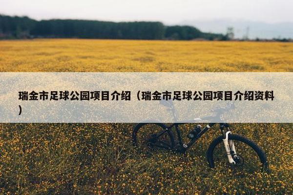 瑞金市足球公园项目介绍（瑞金市足球公园项目介绍资料）