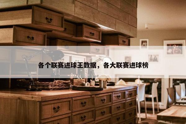 各个联赛进球王数据，各大联赛进球榜