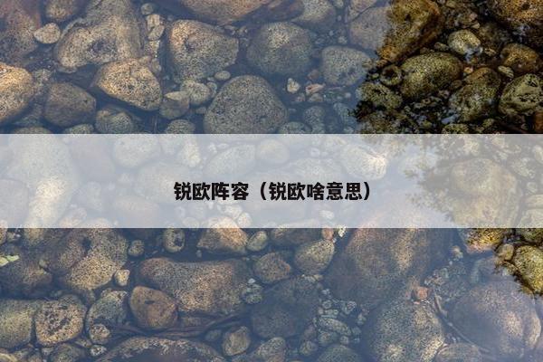 锐欧阵容（锐欧啥意思）