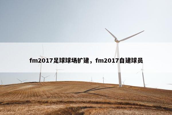 fm2017足球球场扩建，fm2017自建球员