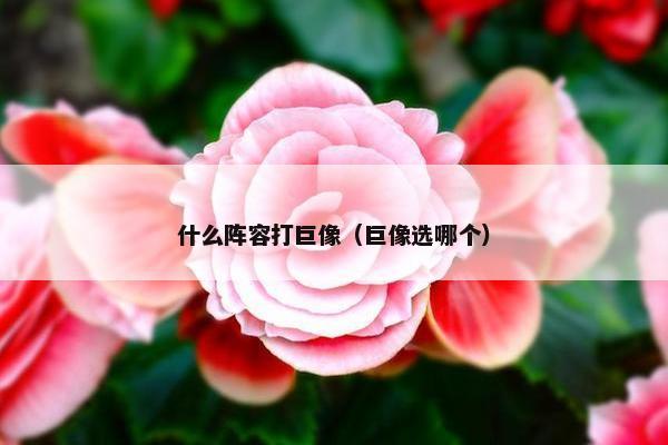 什么阵容打巨像（巨像选哪个）