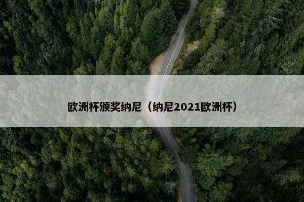 欧洲杯颁奖纳尼（纳尼2021欧洲杯）