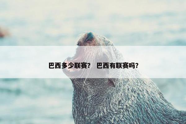 巴西多少联赛？ 巴西有联赛吗？