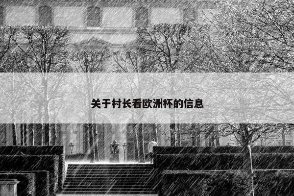 关于村长看欧洲杯的信息