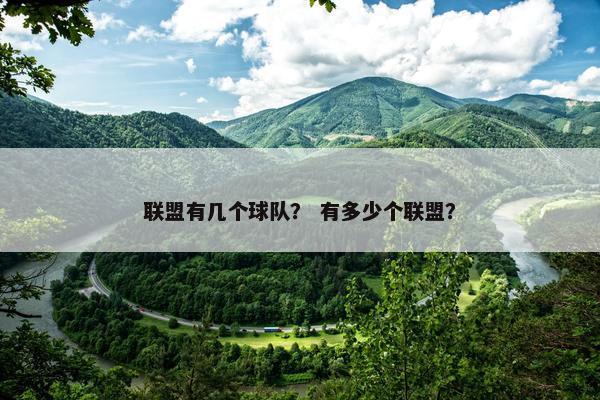 联盟有几个球队？ 有多少个联盟？