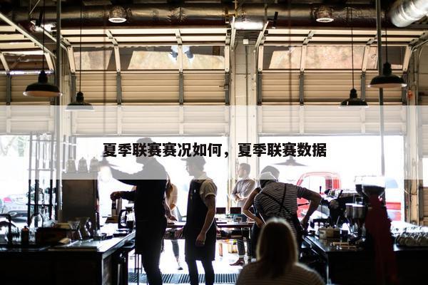 夏季联赛赛况如何，夏季联赛数据