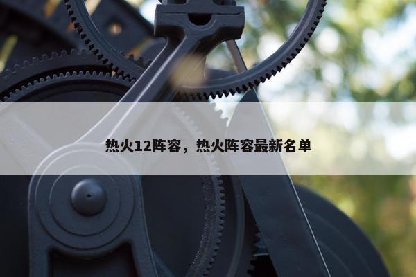 热火12阵容，热火阵容最新名单