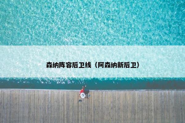 森纳阵容后卫线（阿森纳新后卫）