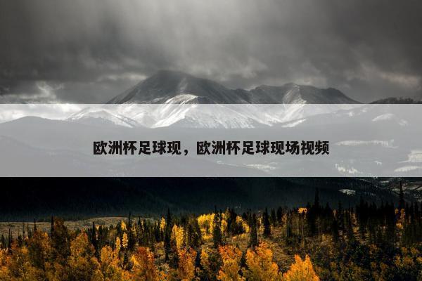 欧洲杯足球现，欧洲杯足球现场视频