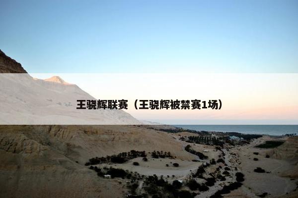 王骁辉联赛（王骁辉被禁赛1场）