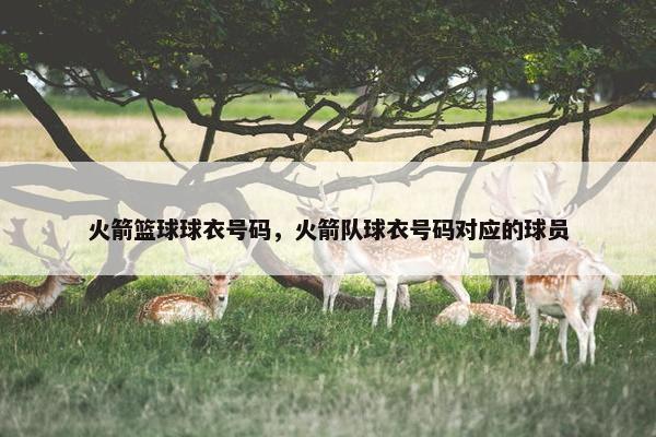 火箭篮球球衣号码，火箭队球衣号码对应的球员