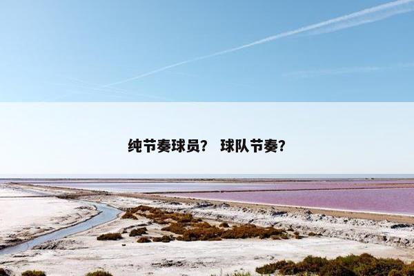 纯节奏球员？ 球队节奏？