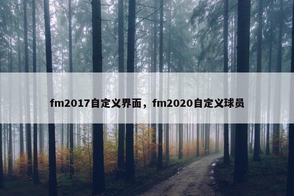 fm2017自定义界面，fm2020自定义球员